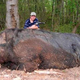 Illustration for article titled Hog Kid Gets Swiftboated ... We Suppose It Was Inevitable